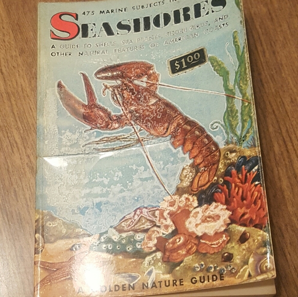 VINTAGE 1955 - A GOLDEN NATURE GUIDE - SEASHORES - Picture 2 of 11